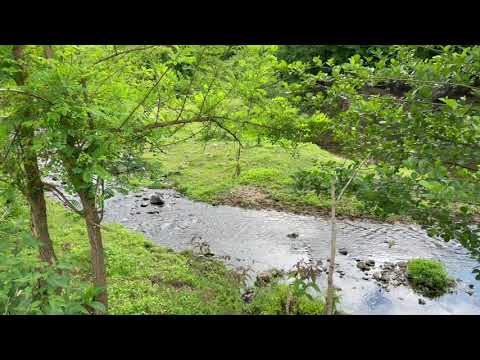 სოფელი ლეღვას ბუნება / Nature of the village Legva